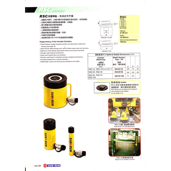 Hydraulic Cylinder RSC-1010 10 Ton