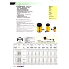 Hydraulic Cylinder RSCH-1211 13 Ton 1