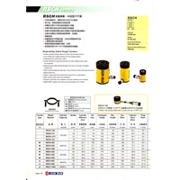 Hydraulic Cylinder RSCH-1003 100 Ton
