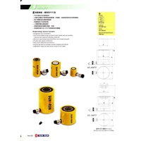 Hydraulic Cylinder S20-100 20 Ton
