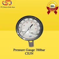Pressure Gauge Model 700bar CEJN