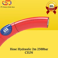 Hose Hydraulic/Selang Hidrolik 2m Length 2500bar CEJN